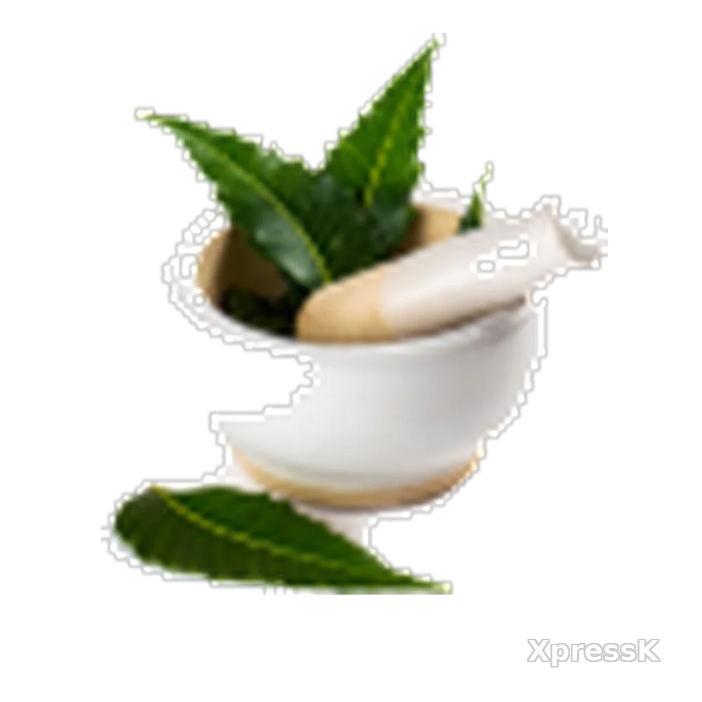 ayurveda.webp