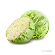 Cabbage-Green-1-Ct.webp