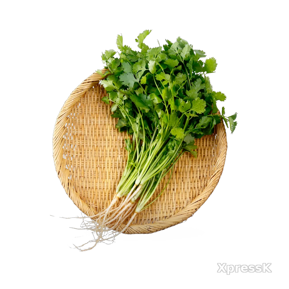 Cilantro-Leaves-1-Bunch.webp