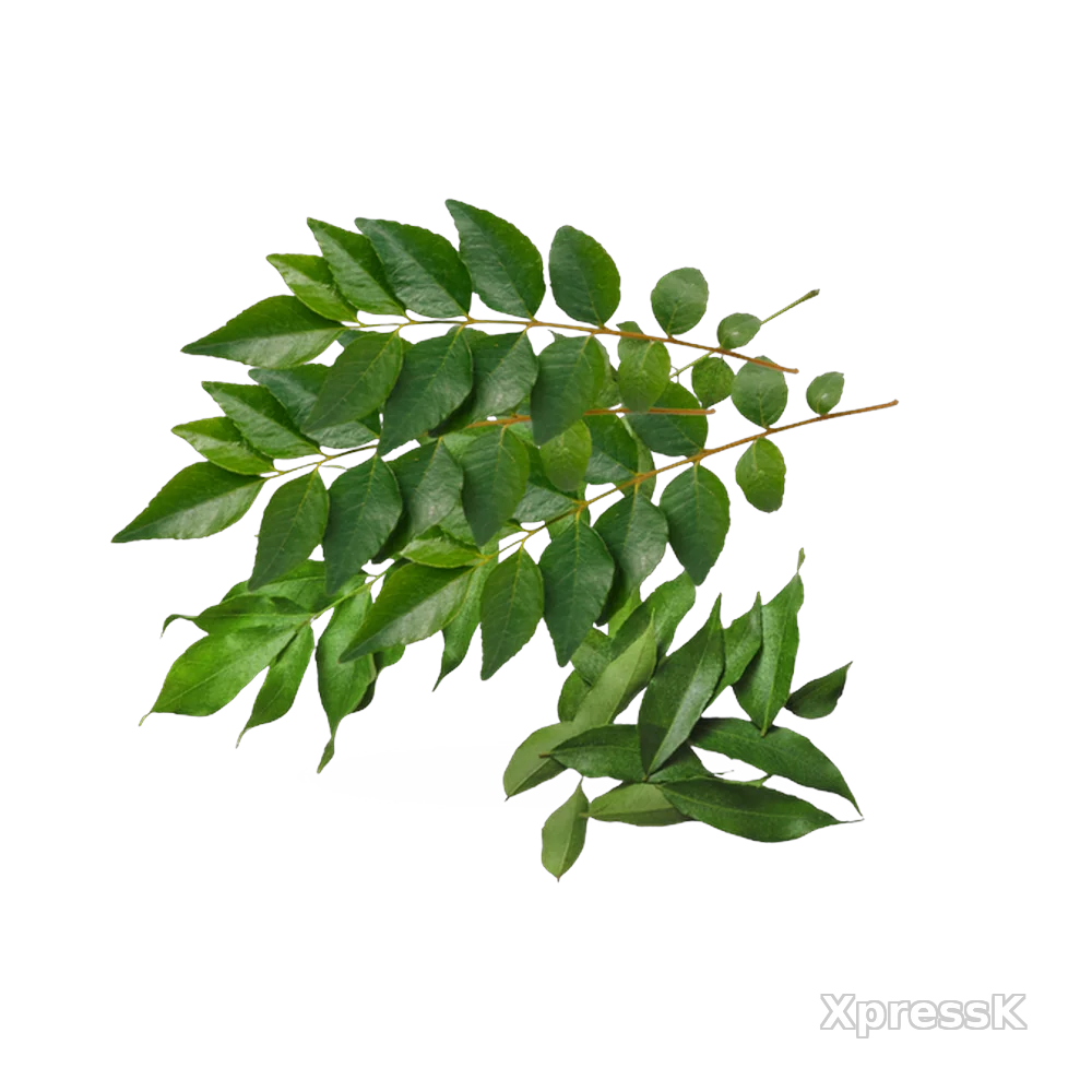 Curry-Leaves.webp
