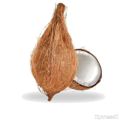 Fresh-Pooja-Coconut-1-Piece.webp