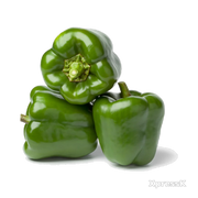 Green-Bell-Pepper-1-lb.webp