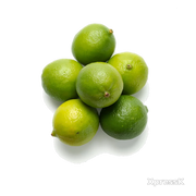 Green-Lime-4-Ct.webp