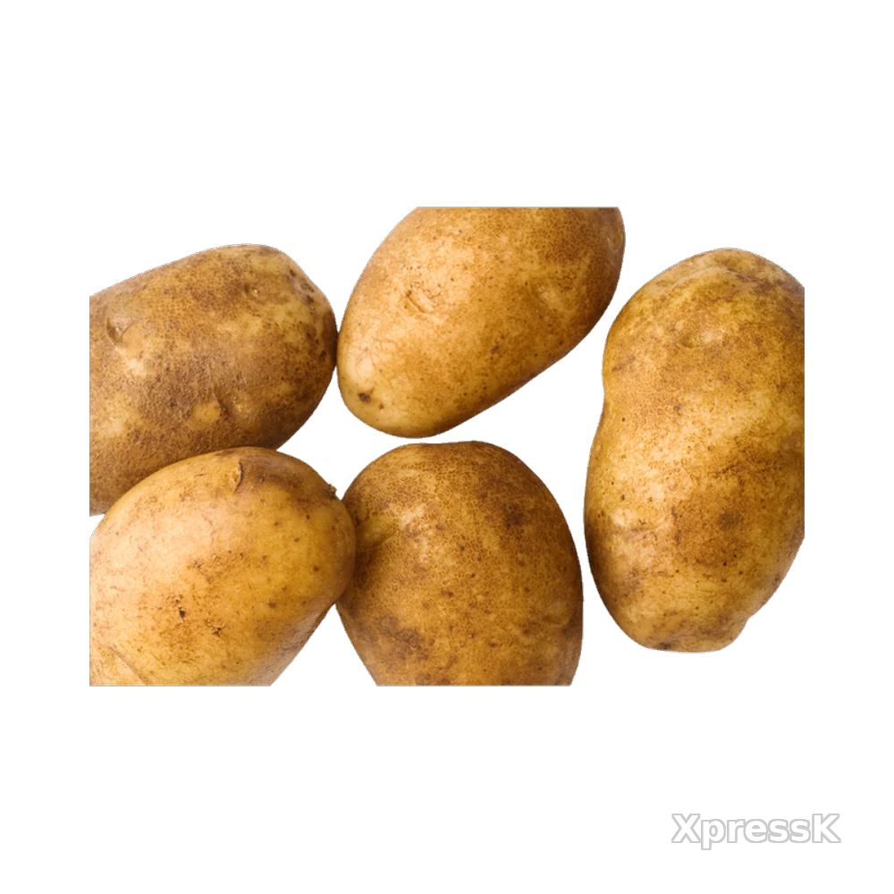 Idaho-Potato-5-Lb-Bag.webp
