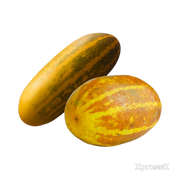 Indian-Yellow-Cucumber-(Dosakai)-1-to-1.5-Lb.webp