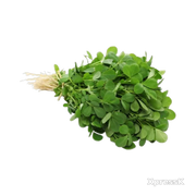 Methi-Leaves-Pack-of-1.webp