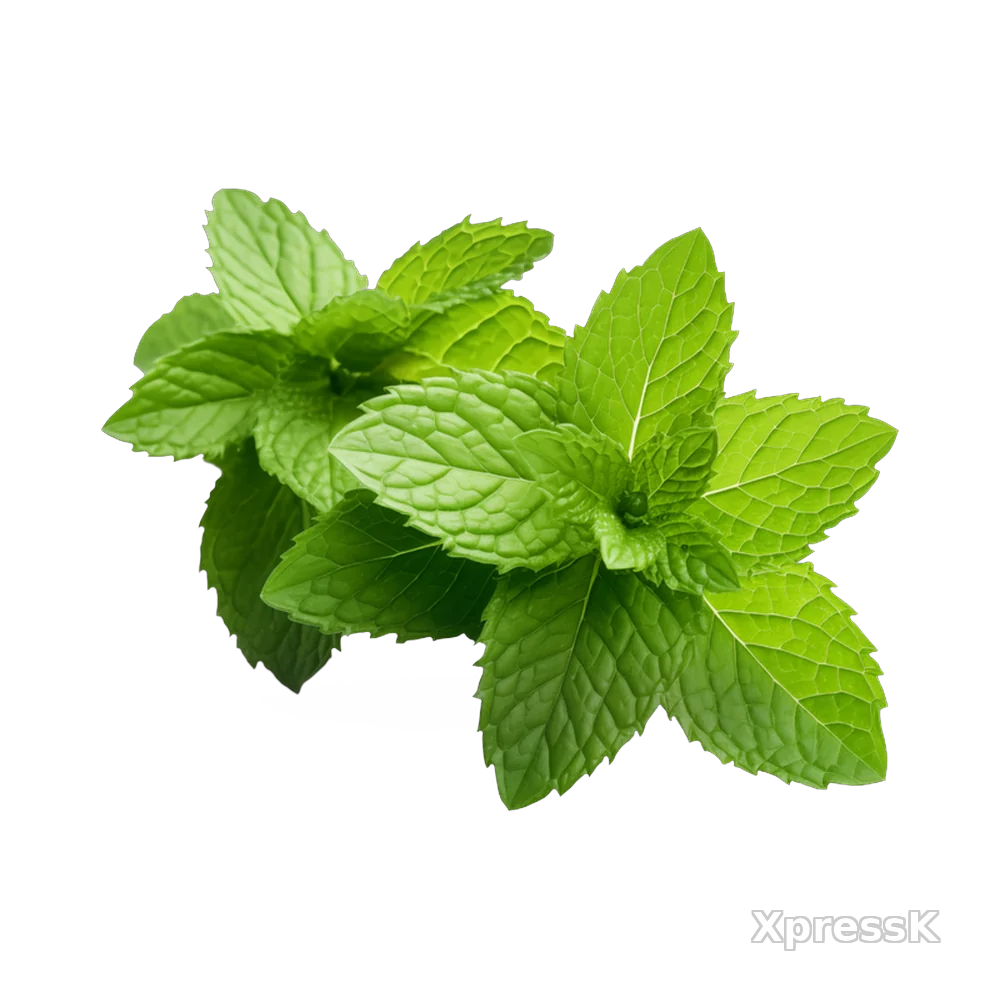 Mint-Leaves-1-bunch.webp