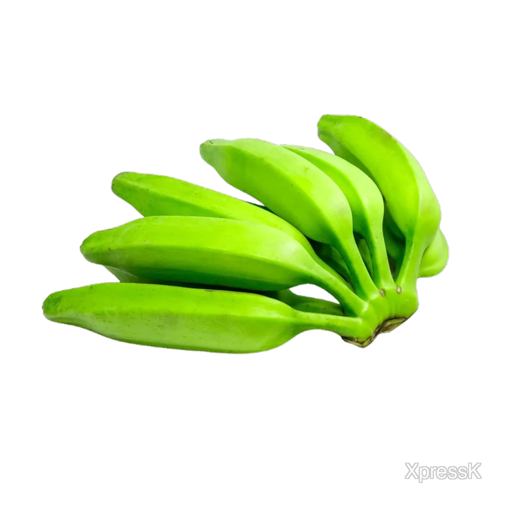 Plantain small burro.webp