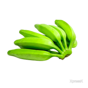 Plantain small burro.webp
