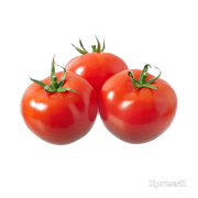 Round-Tomato-1-Lb.webp