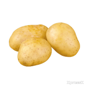 White-Potato-1-Lb.webp