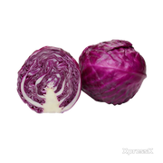 red_cabbage.webp